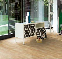 Parador Basic Plus 200 1426411 Клён Натуральный фото 4 | FLOORDEALER